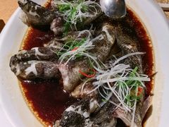 清蒸石头鱼-七仙岭君澜度假酒店·桃源小馆中餐厅