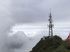 -江西阳明山国家森林公园