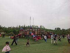 -秀丽东方