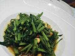 普宁豆瓣炒空心菜-宁夏国强手抓羊肉·清真菜(未央路凤三店)