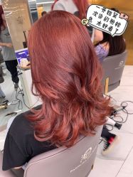 -潘多拉Hairsalon