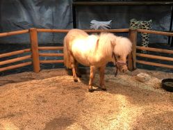 -Zoolung Zoolung动物主题公园(海信广场店)