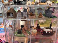 -猫的天空之城概念书店(苏州平江店)