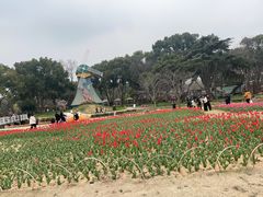 -无锡梅园公园