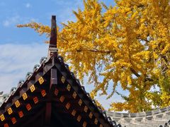 -聚味轩酒楼(东升街店)