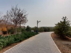 -东郊湿地公园