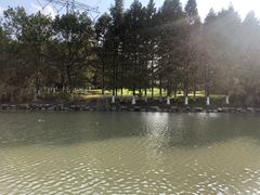 -九里河湿地公园