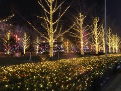 -江南赋(内蒙古大厦店)