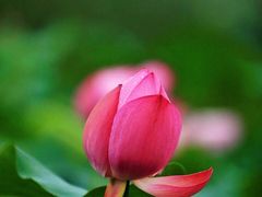 -中粮万科长阳半岛