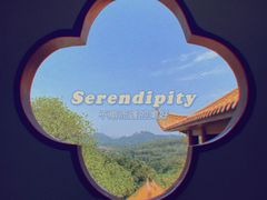 -深圳仙湖植物园-停车场