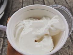 -洪馨椰子