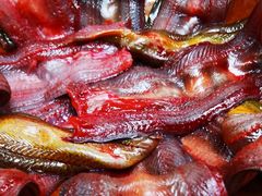 -重庆老火锅王(西安北路店)