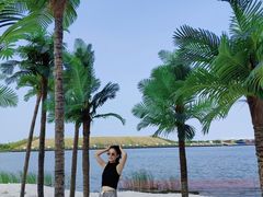 -呼兰河口湿地公园