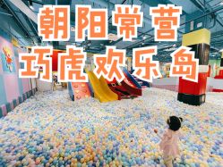 -巧虎欢乐岛(常营华联店)