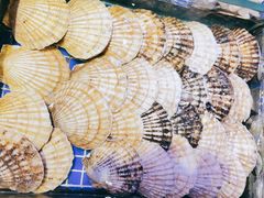 -青蓬蒸汽海鲜·深圳老字号·团建聚会(壹方城店)