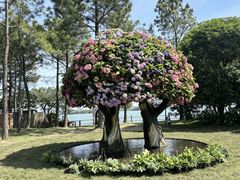 -无锡蠡湖国家湿地公园-蠡园