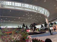 -青岛胶东国际机场