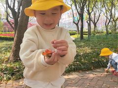 -豆初托育园 Baby Bean Day care Center