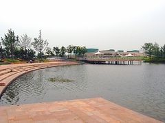 -新江湾城公园