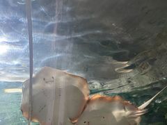 -杭州海底世界