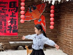 -龙湾潭国家森林公园