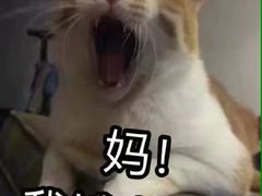 -Boxing Cat Brewery拳击猫精酿啤酒馆(永福店)