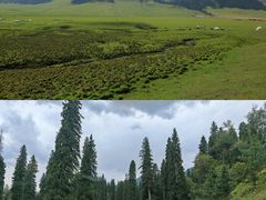 -新疆那拉提国家旅游度假区