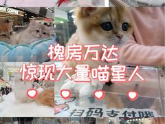 -万达广场(北京槐房店)