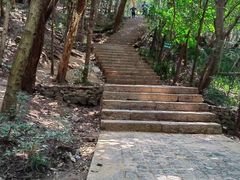 -紫金山山顶公园