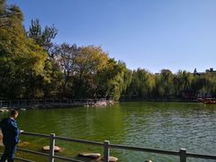 -莲湖公园