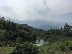 -天强农家菜馆