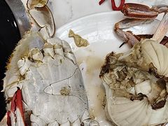 -半岛听涛蒸汽海鲜自助(K11店)