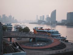 -上海市第六人民医院(临港院区)