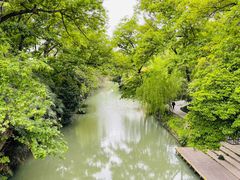 -扬州大运河文化旅游度假区·盆景园