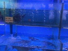 -老宋家鱼馆(北滨路店)