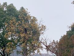-美兰湖景区