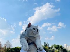 -荔枝公园(福田区)