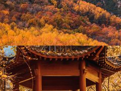 -少华山国家森林公园