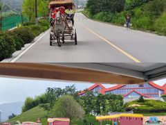 -彩色沙林风景区