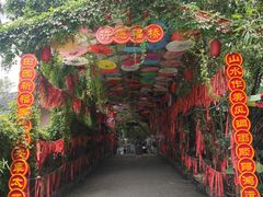 -观澜山水田园