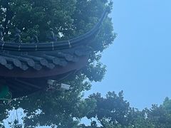 -南京古林公园
