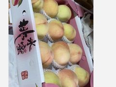 -南汇新场正宗水蜜桃采摘