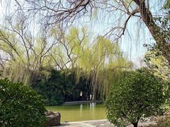-洛阳市隋唐城遗址植物园