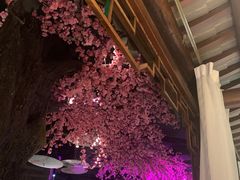 -韵秋荷(宝山龙湖天街店)