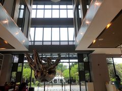 -鹭江潮餐厅•福建菜(鹭江佲家酒店)