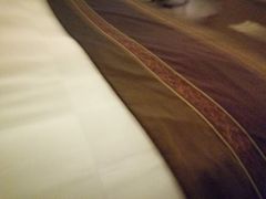 -河源万绿湖美思威尔顿酒店