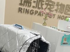 -瑞派康怡24h宠物医院·犬猫医疗中心·微创绝育(瑞景分院)