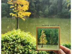 -广州市白云山风景名胜区