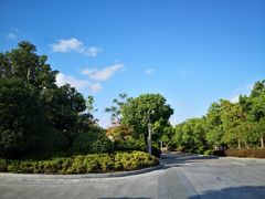 -上海崇明金茂凯悦酒店