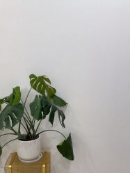 -智美品质医美